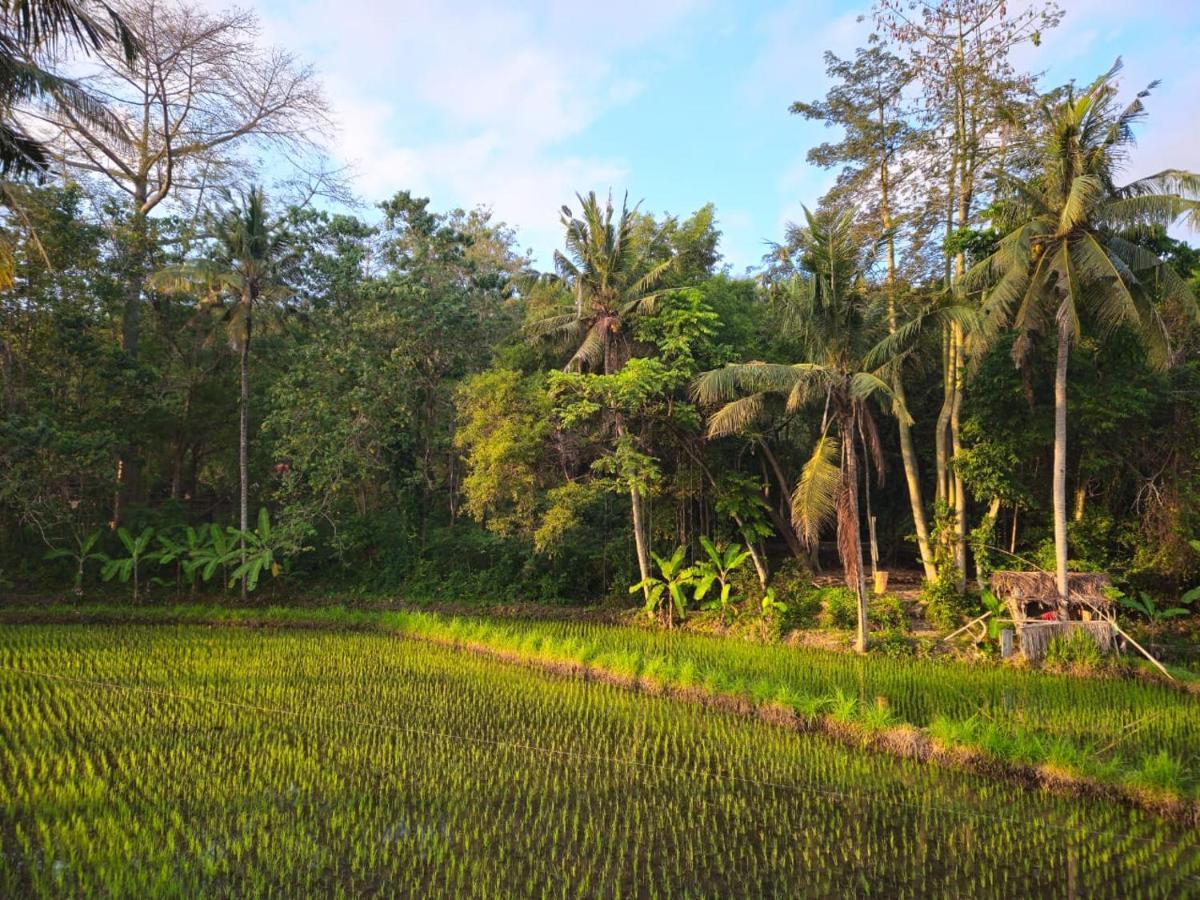 Pondok Diana Yuki Jasri Exterior foto